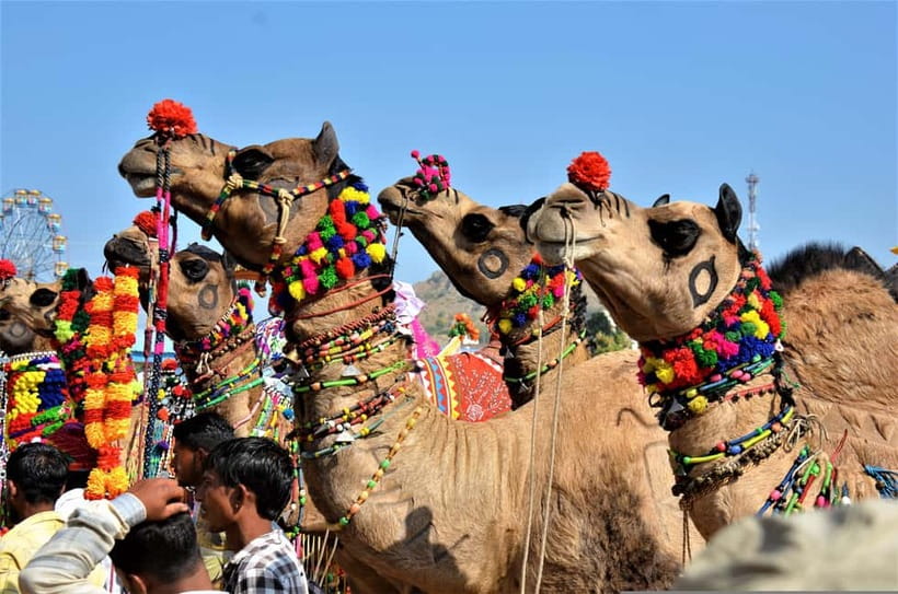 From Jaipur: One-Day Trip From Jaipur to Pushkar - The return to Jaipur and the real time cost