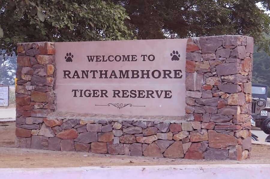 From Jaipur: Praivte Ranthambore Tour By Jeep Canter Safari - Afternoon safari times change with the season