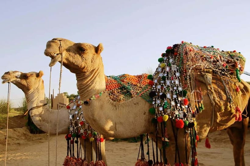 From Jaipur : Private Ajmer Pushkar Tour by Cab - Lunch, timing, and the cost of the extras
