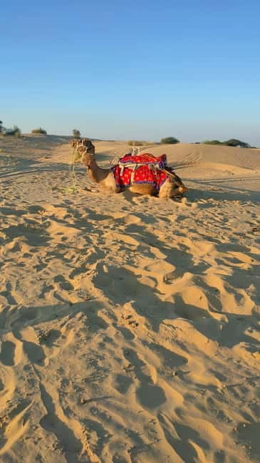 From Jaipur : Private Ajmer Pushkar Tour by Cab - How much guiding should you expect?