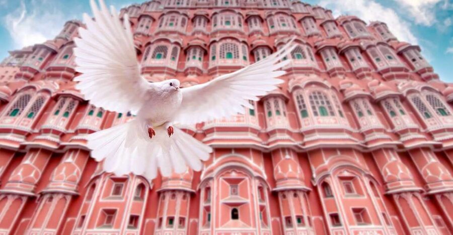 From Jaipur: Private Amber Fort, Jal Mahal and More Car Tour - Hawa Mahal and Jaipur’s famous facade