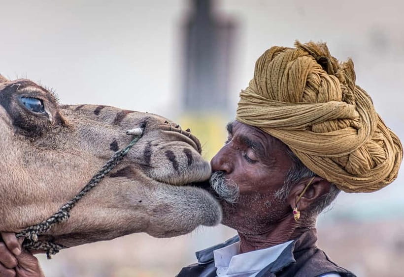 From Jaipur: Pushkar and Ajmer Private Day Trip - Why pair Pushkar and Ajmer in one Jaipur day