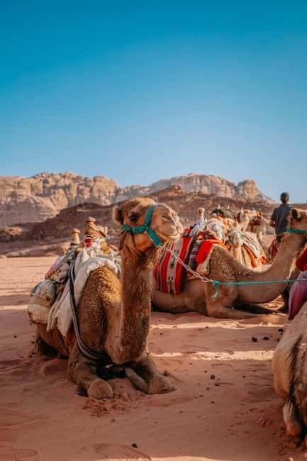 From Jaipur: Pushkar and Ajmer Private Day Trip - Leaving Jaipur in a private car