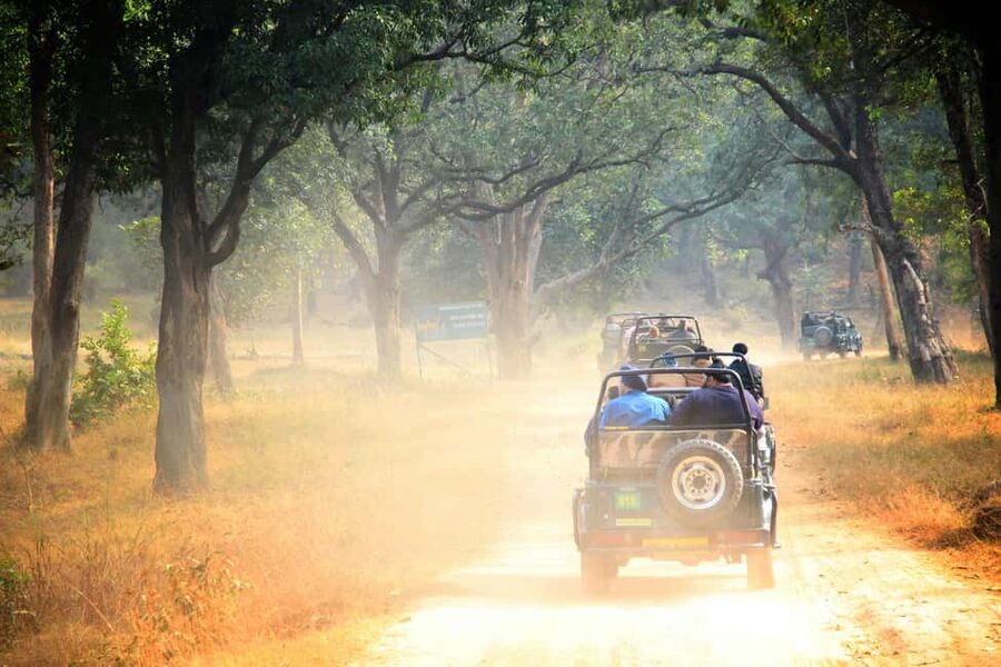 From Jaipur: Ranthambore National Park Day Trip with Safari - FAQ