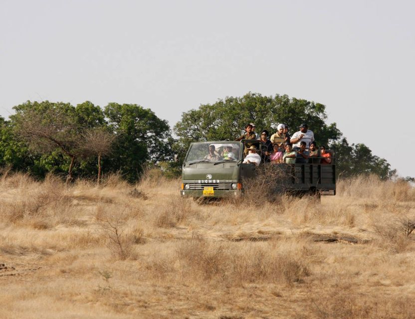From Jaipur: Ranthambore Tour with Cab - Key points to know before booking