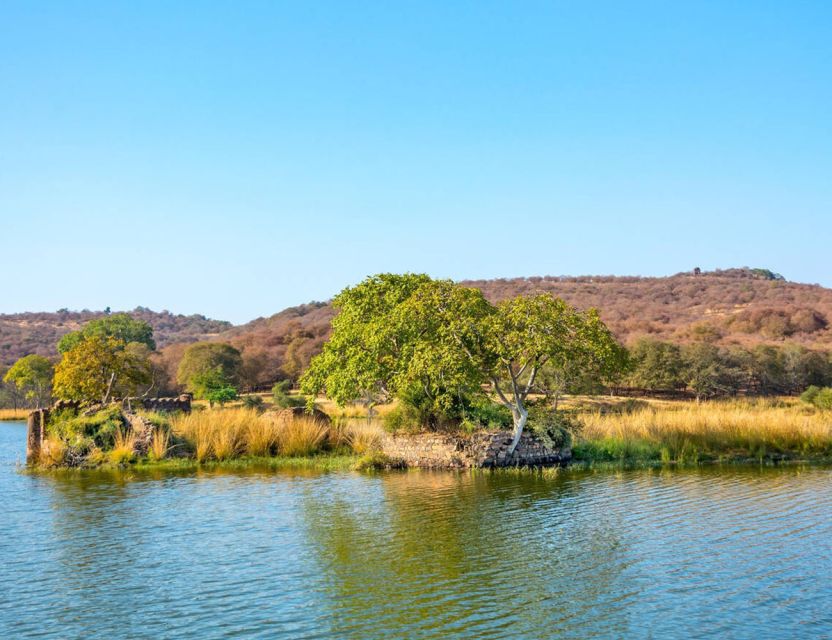 From Jaipur: Ranthambore Tour with Cab - Jeep or canter: what the safari vehicle means