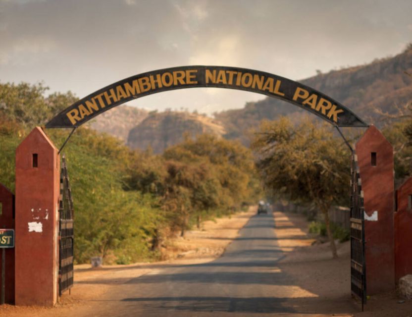 From Jaipur: Ranthambore Tour with Cab - What you might see in the forest