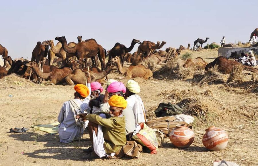 From Jaipur: Same Day Pushkar Self-Guided Day Trip - Camel riding beyond the town