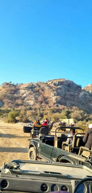 From Jaipur: Sariska National Park Day trip with Safari - Should you book the Sariska safari from Jaipur?