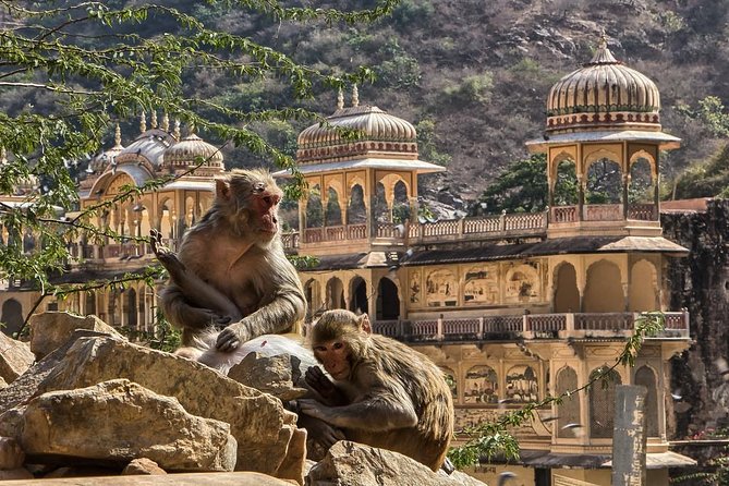 Full-Day Private City Tour of Jaipur - Jal Mahal is a shoreline view, not a palace tour