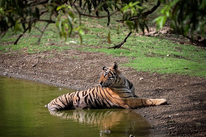 Full-Day Trip to Ranthambore National Park from Jaipur - The Jaipur to Ranthambore Road: 180 Kilometers of India