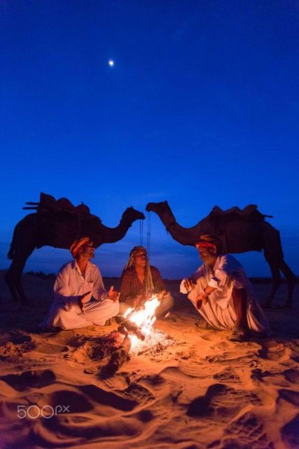 Fullday pushkar tour from jaipur with guid+camel/jeep safari - What the $49 price really buys
