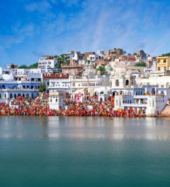 Fullday pushkar tour from jaipur with guid+camel/jeep safari - Pushkar Lake and the sacred ghats