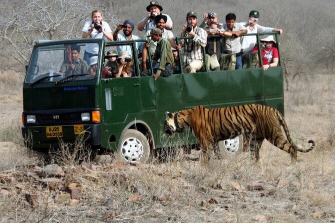 Golden Triangle & Ranthambore: 4-Day Private Tour from Delhi - The car, guides, and hotel setup