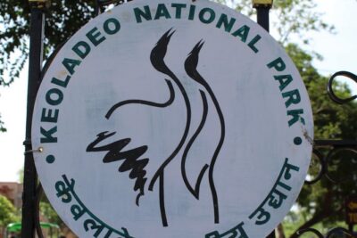 Guided Keoladeo Bird National Park Tour in Bharatpur from Jaipur