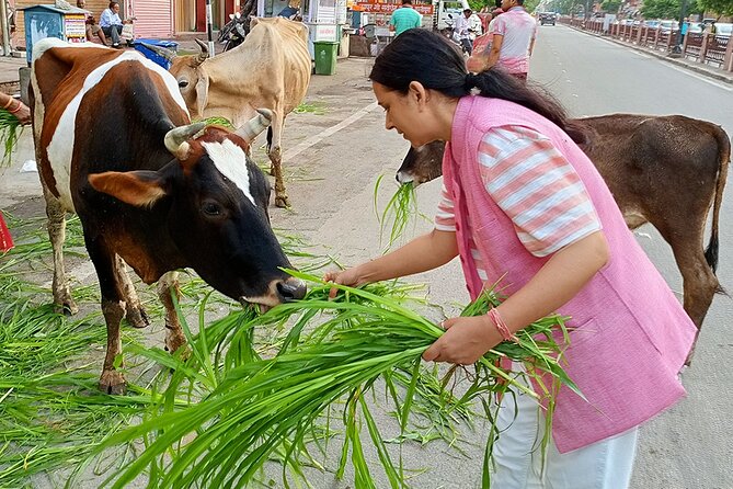 Guided Morning Bicycle Tour with Food Tasting in Jaipur - Thatheron ka Rasta and the work behind a brass utensil