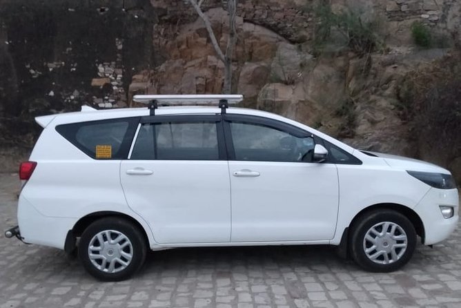 Half-Day Private Sightseeing tour to Wildlife SOS from Agra - Why Wildlife SOS is worth adding to an Agra stay