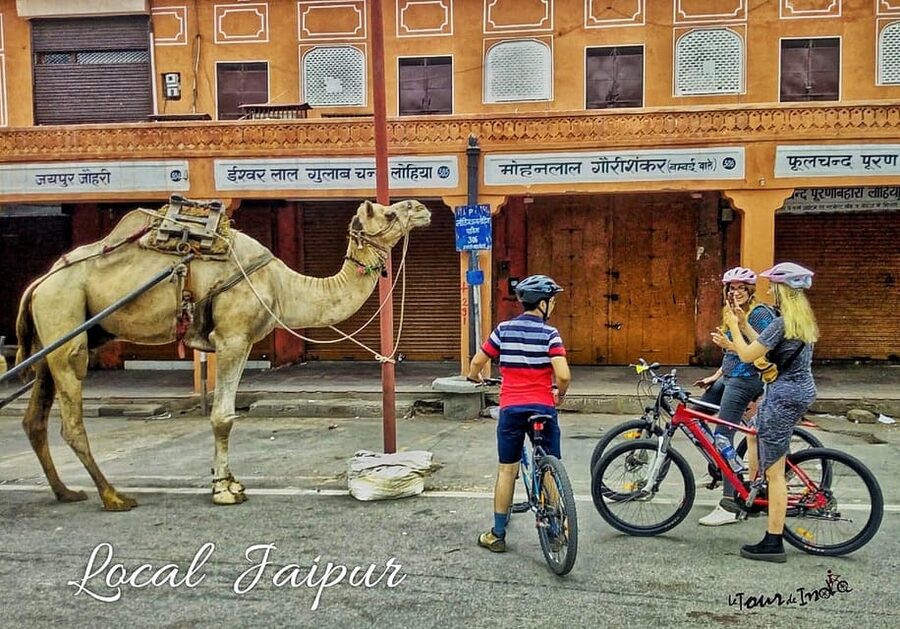Jaipur: 3-Hour Morning Bike Tour of Jaipur Old City - Chai with a three-generation tea seller