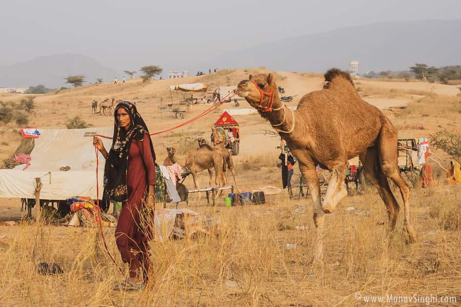 Jaipur: Ajmer & Pushkar Day Trip with Lunch & Camel ride - Jaipur to Ajmer: a useful two-hour start