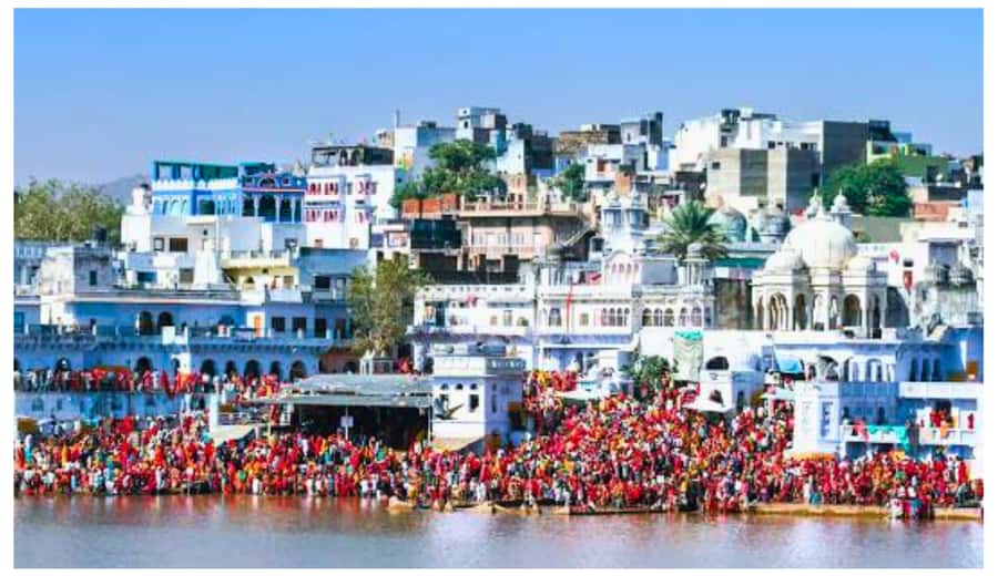 Jaipur: Ajmer & Pushkar Day Trip with Lunch & Camel ride - Pushkar Bazaar and the question of the camel ride