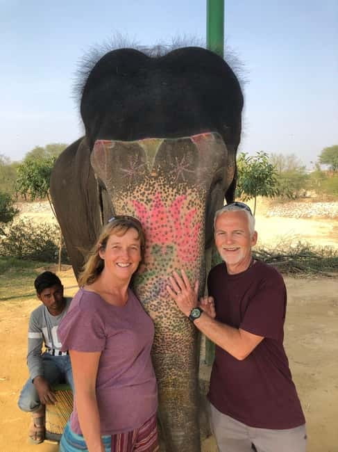 Jaipur: Elephant Interaction Tour - Meeting Jaipur’s rescued elephants