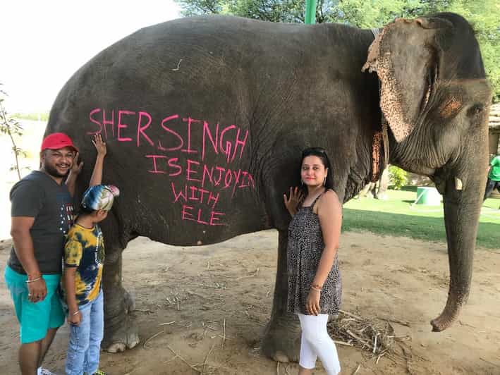 Jaipur: Elephant Interaction Tour - Natural-color painting with a practical limit
