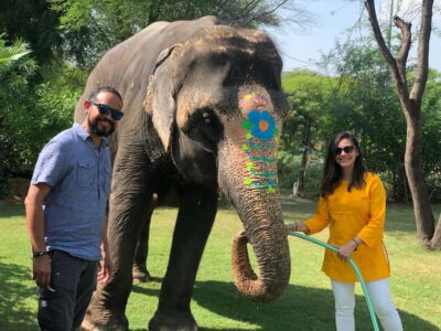 Elephant Interaction Tour