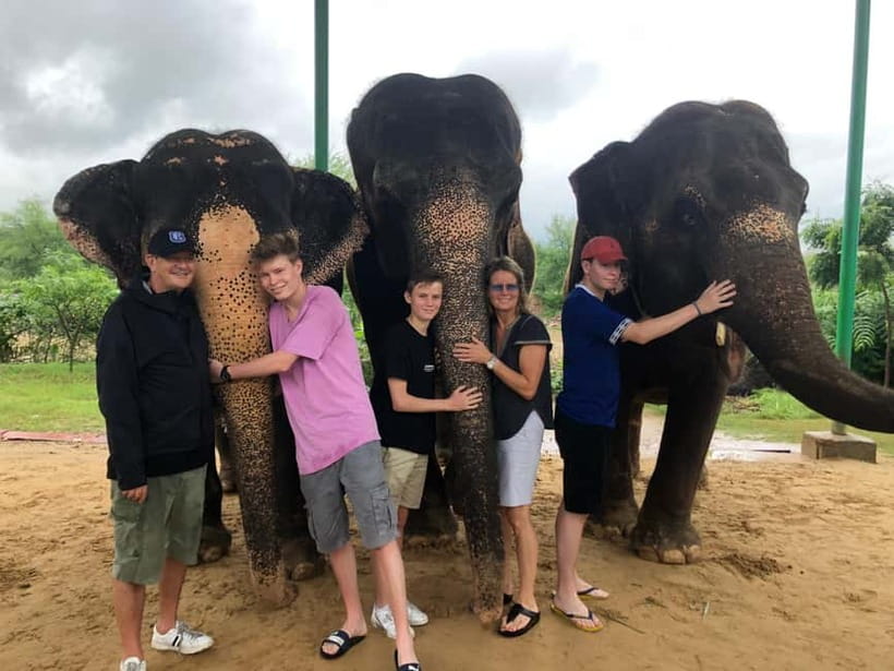 Jaipur: Elephant Interaction Tour - What the $58 price buys you