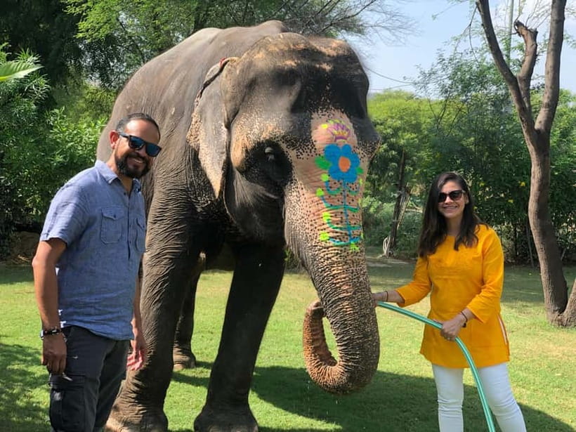 Jaipur: Elephant Interaction Tour - Feeding time reveals how elephants eat