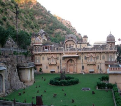 Full-Day City Tour with Camel Ride and Monkey Temple