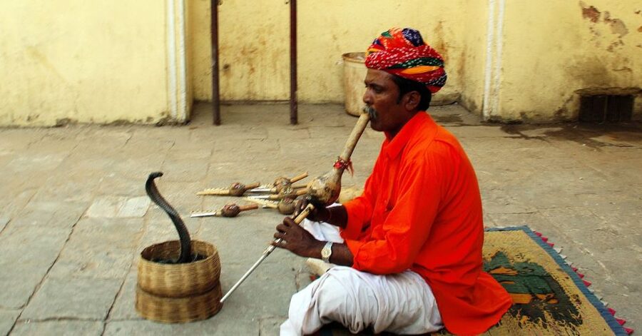 Jaipur: Full-Day Private City Tour by Car with Guide - Hawa Mahal, Jaipur’s famous pink façade