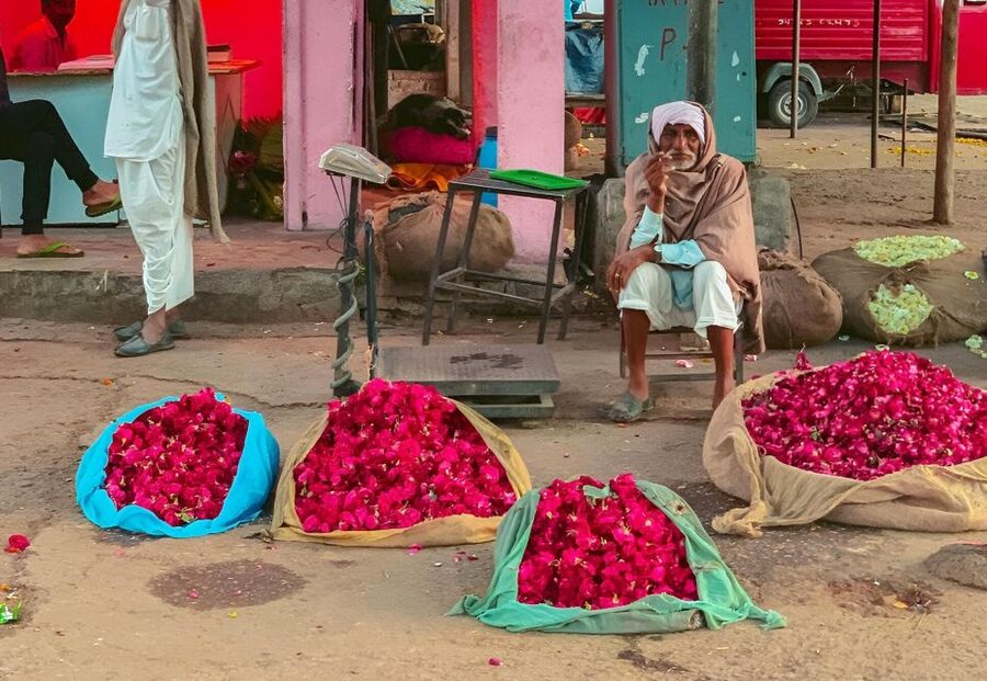 Jaipur: Half-Day Guided Sightseeing Tour with Flower Market - Jaipur in five hours: the quick verdict