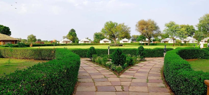 Jaipur: Haunted Bhangarh Fort and Abhaneri Stepwell Day Trip - Is $47 a fair price?