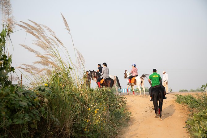 Jaipur Horse Riding Adventure - Meeting the Marwari horses