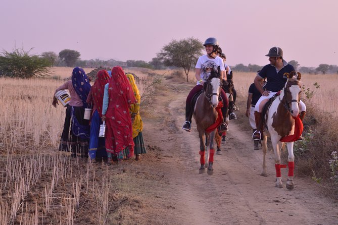 Jaipur Horse Riding Adventure - The personal touch from Le Tour de India