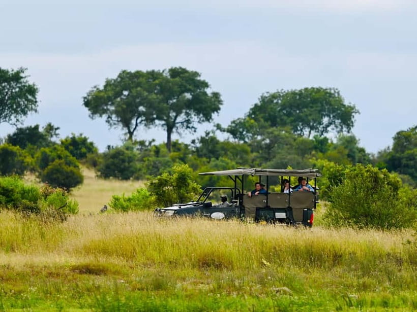 Jaipur: Jhalana Amagarh Leopard Reserve 4×4 Jeep Safari - What happens during the 2.5-hour jeep safari