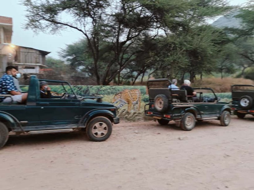 Jaipur: Jhalana Amagarh Leopard Reserve 4×4 Jeep Safari - Who should book this safari?