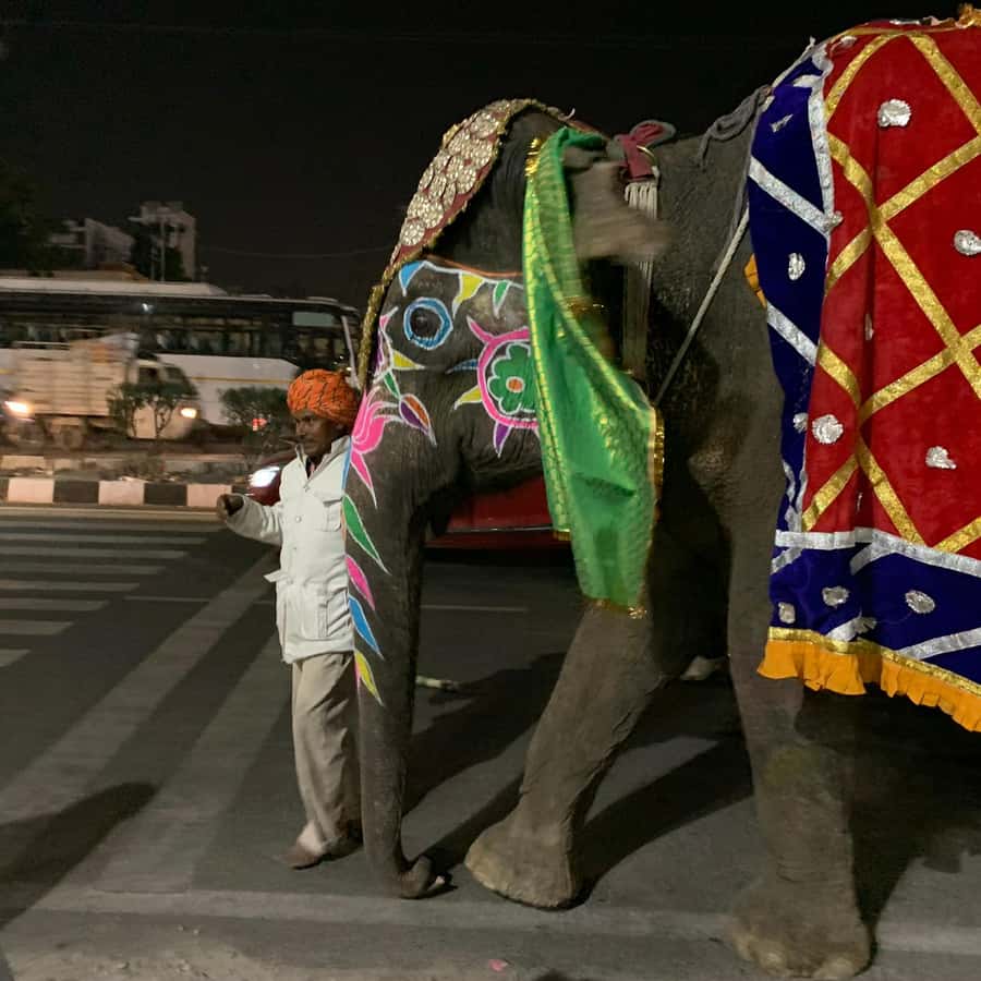 Jaipur: Night Tuk-Tuk Tour With Friendly Local Driver - The chance of seeing a Jaipur wedding procession