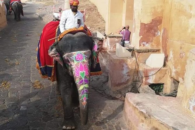 Jaipur Private City Tour By Car (All-Inclusive) - What the $59 price really covers