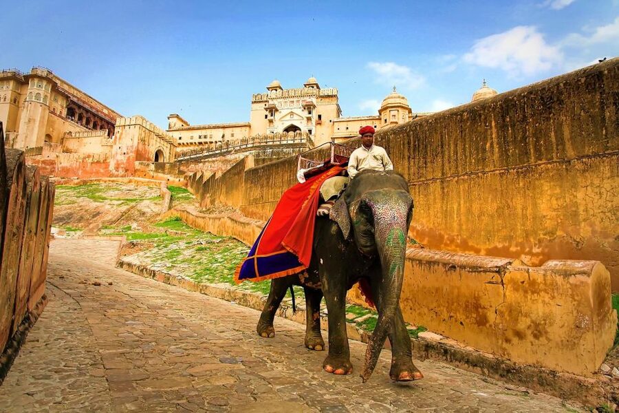 Jaipur: Private Full-Day City Tour by Tuk-Tuk or Car - Jal Mahal, the palace in Man Sagar Lake