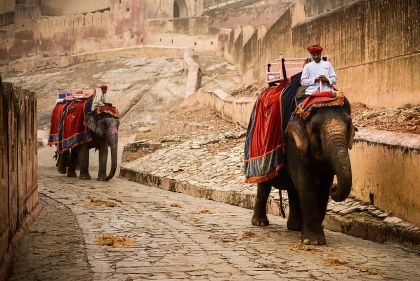 Jaipur: Private Full-Day City Tour By Tuk-Tuk with Pick-Up - What the $12 price really covers