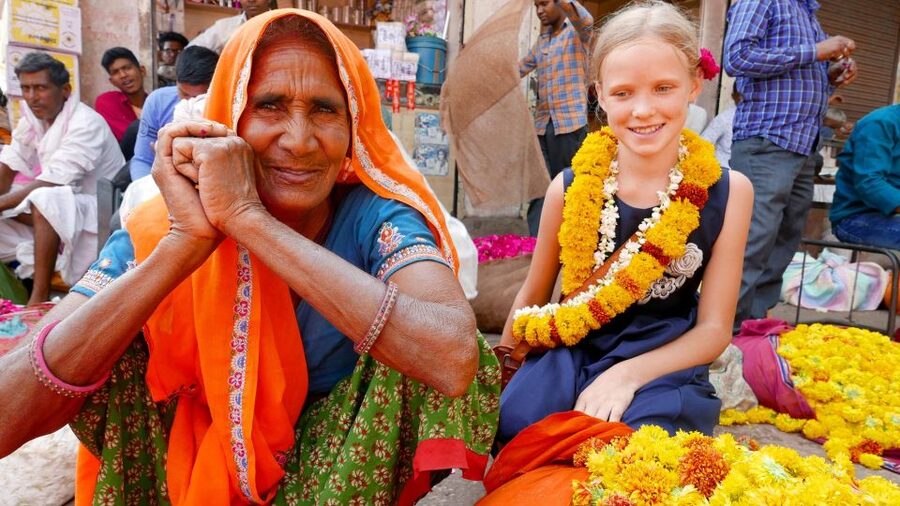 Jaipur: Private Full-Day Tour of the Heritage Pink City - What the private service adds