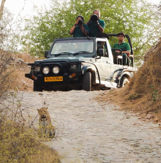 Jaipur: Private Jhalana Leopard Safari Tour - The opening briefing with Rohit