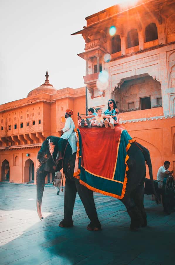 Jaipur: Private PinkCity & Stepwell Heritage Tour with Guide - Panna Meena Ka Kund and the logic of a stepwell