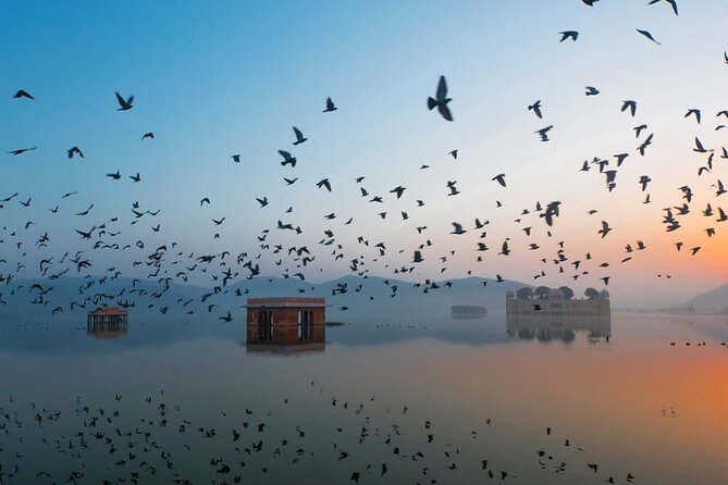Jaipur Sunrise Tour with Morning Flower Market Walk - Why Jaipur works so well before sunrise
