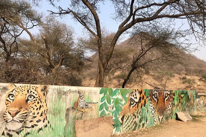 Jaipur to Jhalana Leopard reserve Private Day Trip All Inclusive - The private gypsy changes the feel of the safari