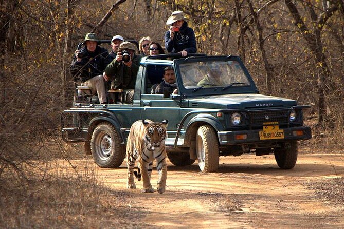 Jaipur to Ranthambore National Park Private One Day Trip - What you might see in the forest