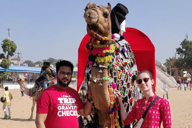 Jaipur Tour By Car & Guide - Private Full Day Sightseeing with Tickets - The private car is a real advantage in Jaipur