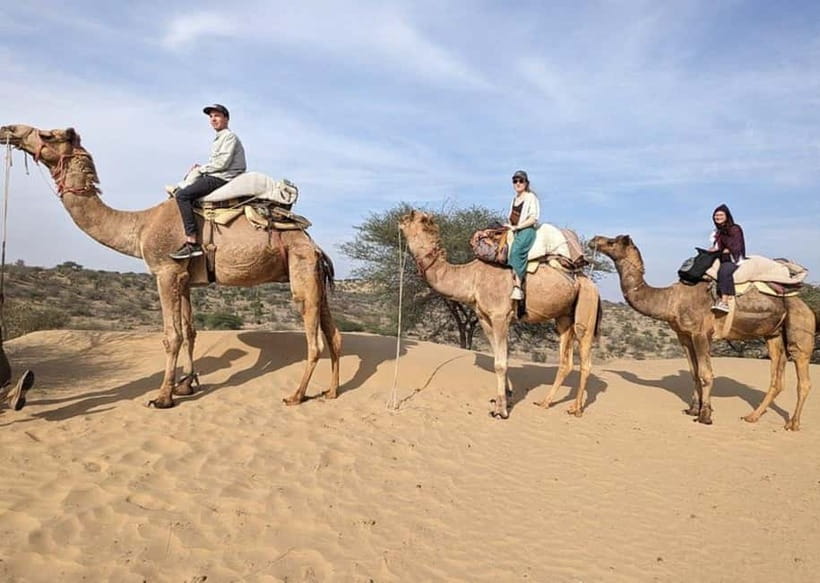 Jodhpur: Overnight Stay in Desert with Camel Safari - From Jodhpur to Osian by private car