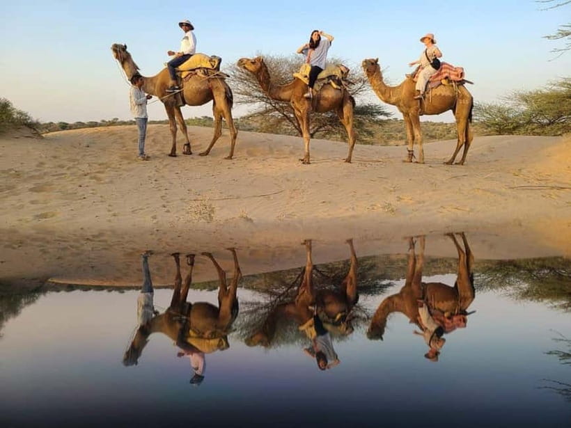 Jodhpur: Overnight Stay in Desert with Camel Safari - One to two hours on camelback at sunset
